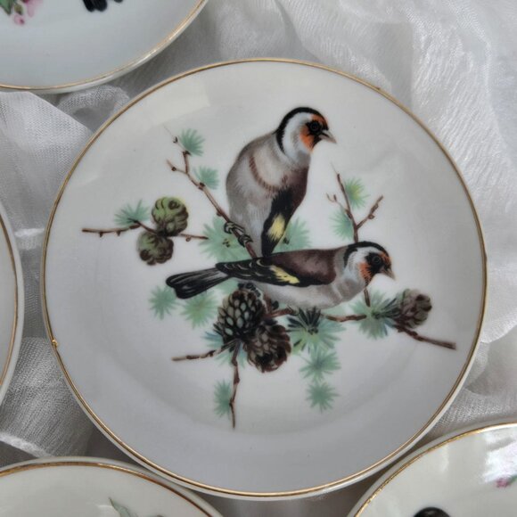 BIRDS! Set of 6 Vintage Bird Wall Plates – Mini Bird Plates with gold rim JAPAN - Picture 7 of 12